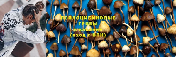 таблы Алексин