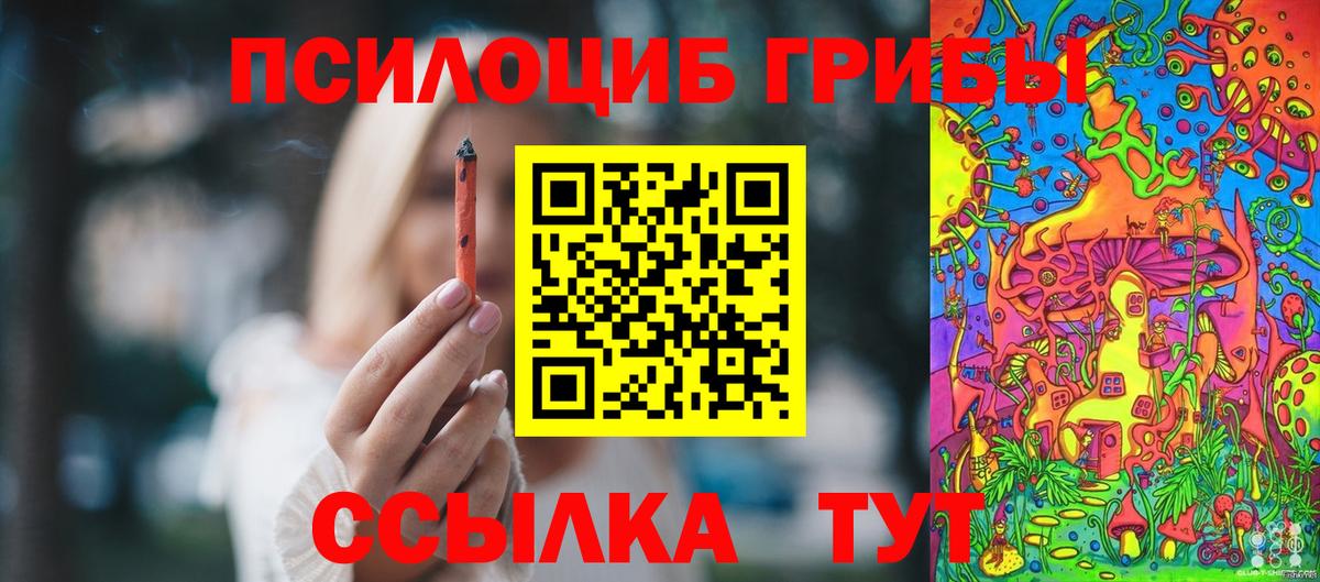 Черкесск  Галлюциногенные грибы мухоморы  Вход с VPN  Псилоцибиновые грибы ЛСД 